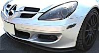 R171 Euro FrLip Spoiler1.jpg